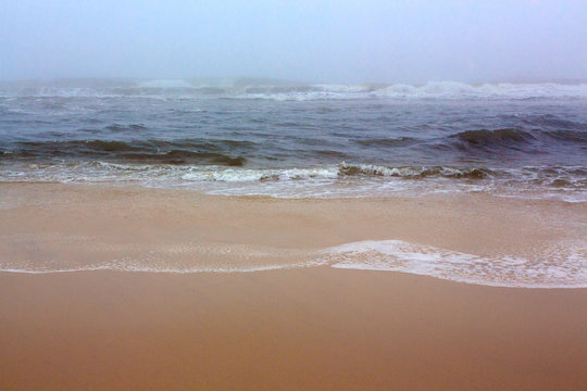 Surf