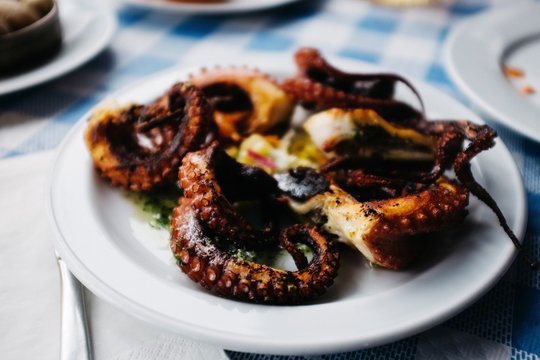 Grilled Octopus