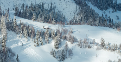 Winter Carpathian Mountains landscape.