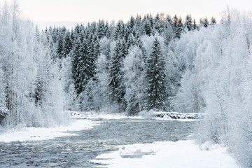 winter landscape in Sweden