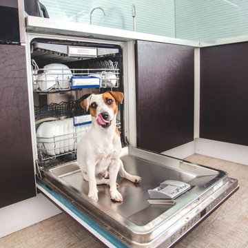 Dog Licking Dishes In The Dishwasher