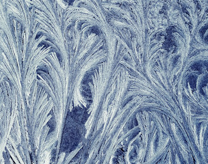  holiday background from a shiny frosty pattern on intricate blue glass