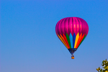 Purple Hot Air Balloon