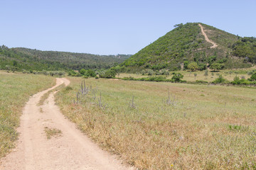 Trail to mountain with Sobreiro trees and vegetation