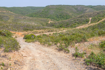 Fototapeta na wymiar Trail in a mountain with forest and vegetation