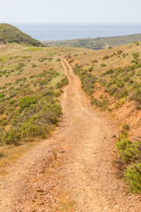 Trail to the ocean with mountains and vegetation