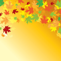 Naklejka na ściany i meble bright orange background - vector colorful autumn leaves