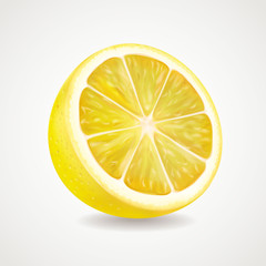Lemon fruit realistic illustration.