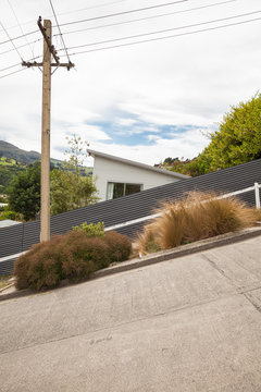 The steepest street in the world, Dunedin, New Zealand.