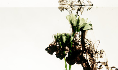 Grawitacja © Grzegorz