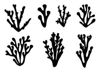 algae icon set vector © Yahor Shylau 