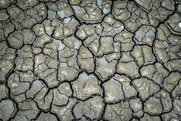 Top view of ground mud crack