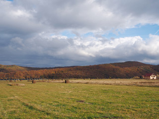 Autumn field