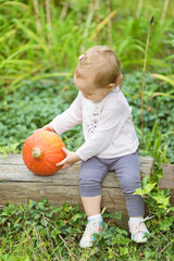 Fototapeta premium One and a half year old toddler girl sitting on the wooden bench and holding an ripe orange pumpkin
