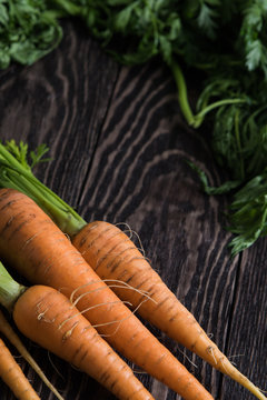 Freshly grown carrots on wooden table