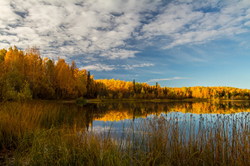 The way we reflect the world around us