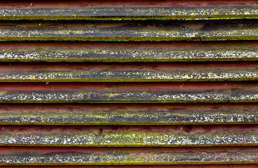 Fragment of a wooden fence, background