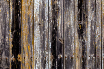Fragment of a wooden fence, background