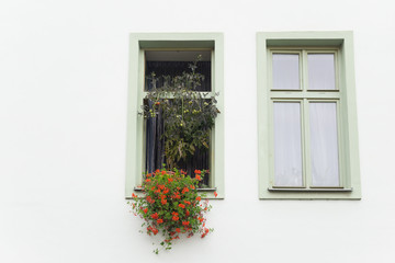 Fototapeta na wymiar windows decorated with plants