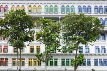 Trees in front of buildings with rainbowlike colorful windows