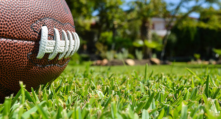 The brown ball for football is displayed on the short green grass. Threes are visible in the...