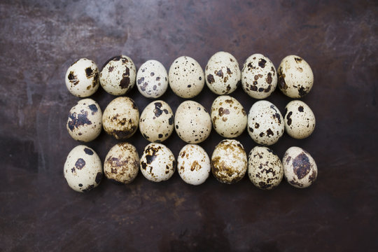 Quail eggs on a black background