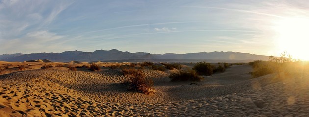 Mesquite Dunes
