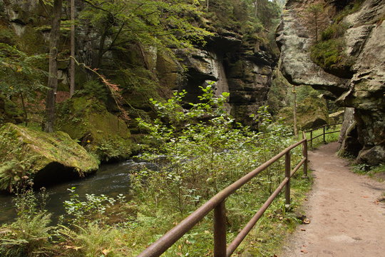 Klamm des Flusses Kamenice in der Böhmischen Schweiz in Tschechien
