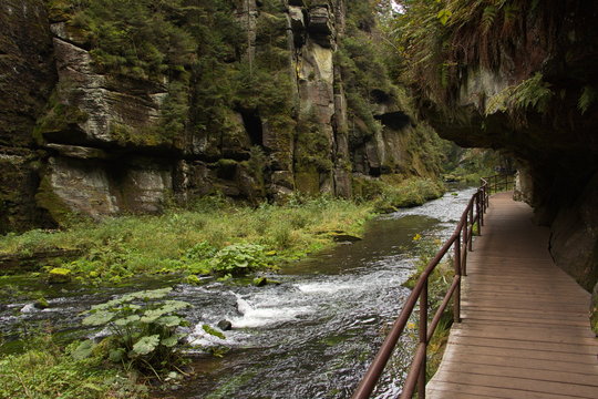 Klamm des Flusses Kamenice in der Böhmischen Schweiz in Tschechien
