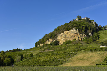 Fototapeta na wymiar Château-Chalon (Jura)