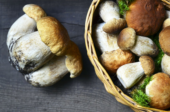 Boletus edulis mushrooms in a basket on old wooden background.Autumn Cep Mushrooms.Cooking delicious organic mushrooms.Gourmet food.Selective focus.