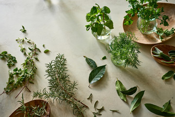Different herbs on plaster table for wellness