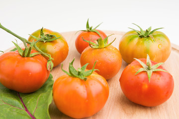 Fresh Tomatoes From The Garden On Wooden Plate Closeup