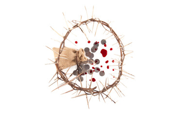 Crown of thorns isolated