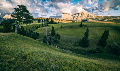 Fototapeta premium Amazing alpine meadows Alpe di Siusi (Seisser Alm) and traditional old mountain chalets. Dolomites, Alps, Italy