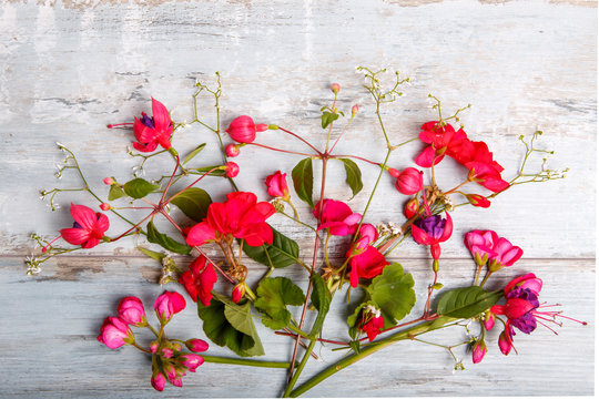 Festive flower composition with fuchsia and geranium on the blue wooden background. Overhead view.