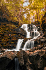 Forest river waterfall. Shepot falls, Carpathians