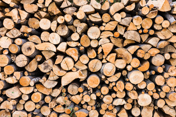Pile Of Chopped Woods Closeup With High Contrast