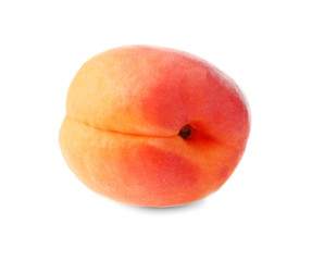 Fresh apricot on white background