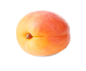Fresh apricot on white background