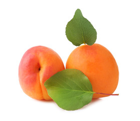 Fresh apricots on white background