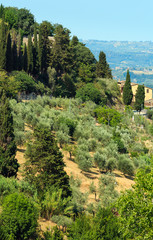 Fototapeta premium Tuscany countryside, San Gimignano, Italy