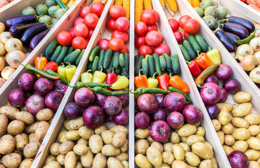 Agriculture harvested various colorful fresh vegetables. Thanksgiving day. Autumn
