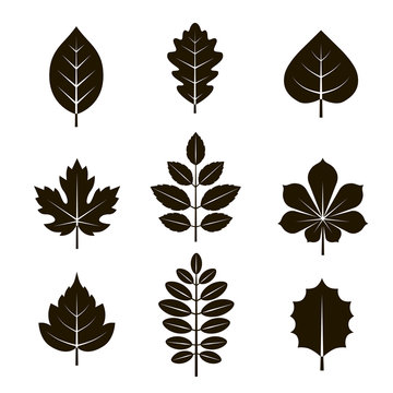 9 black and white leaf icons