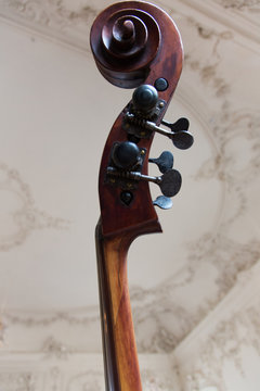 Cello Scroll and Tuning Pegs
