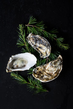 Three oysters on a black background