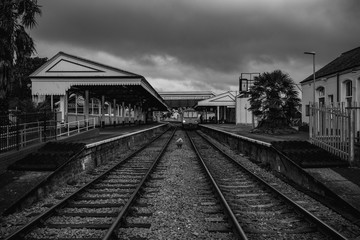 Fototapeta na wymiar Train in Paignton station 