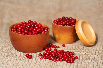 Two wooden bowls with red bilberry on canvas as background