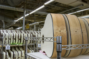 Bodies of wooden guitars on racks in factory