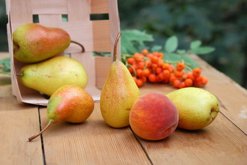 Pears, peach and rowan berries in a wooden box on a wooden table when harvesting in the forest